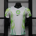 Maillot Nigeria extérieur coupe du monde 2026