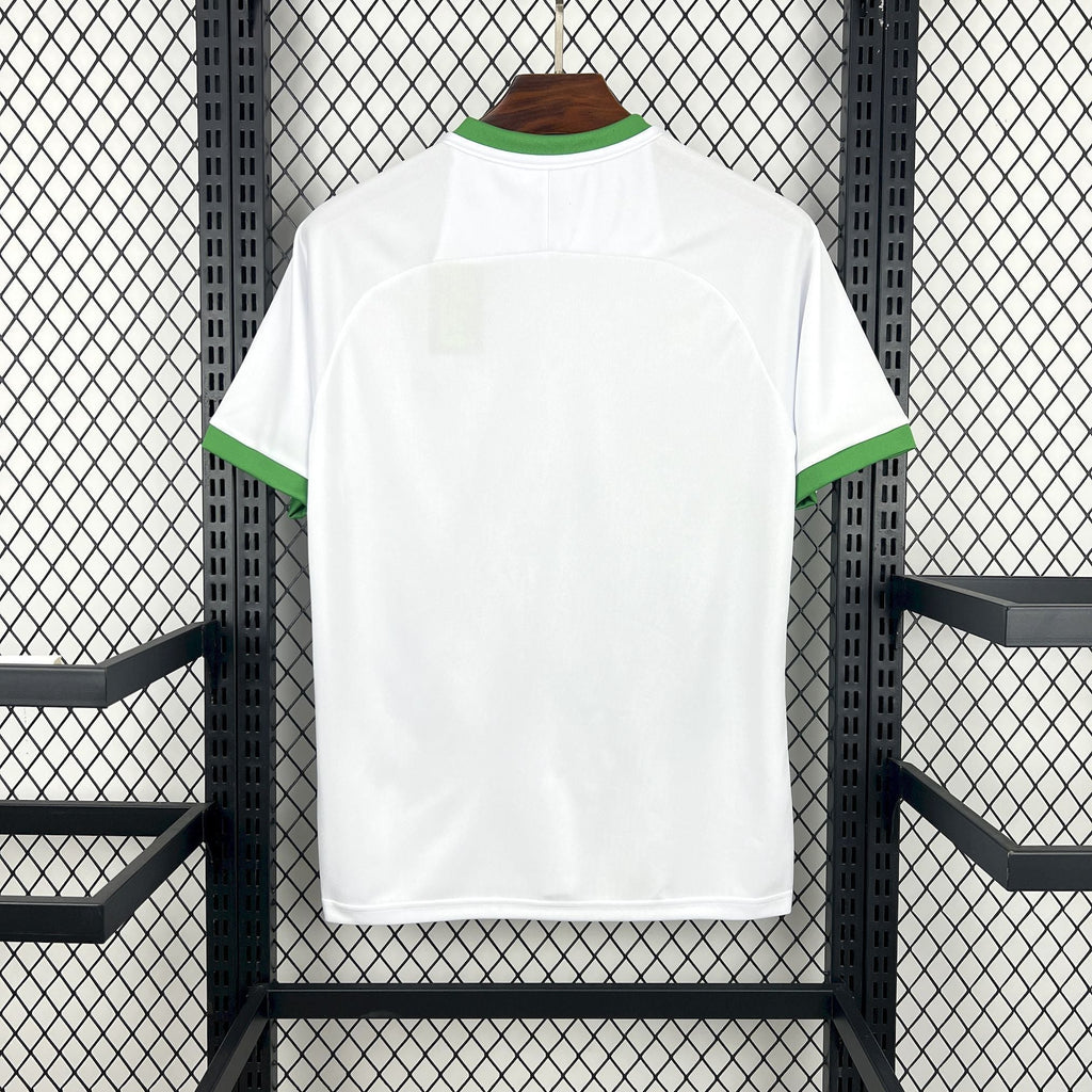 Maillot Irlande Concept 2026