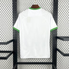 Maillot Irlande Concept 2026